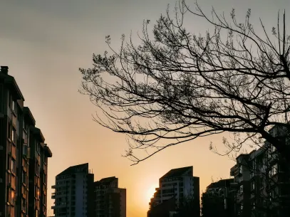 MegaReel Casino Farsímaforrit